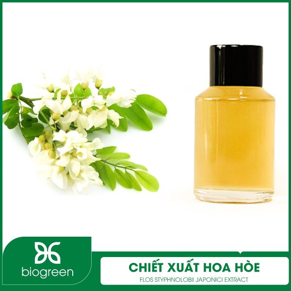 Chiết xuất hoa hòe là gì?